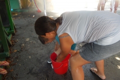 DSCN4772