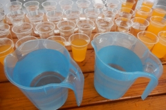 DSCN4865