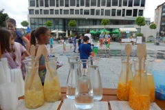 DSCN4733